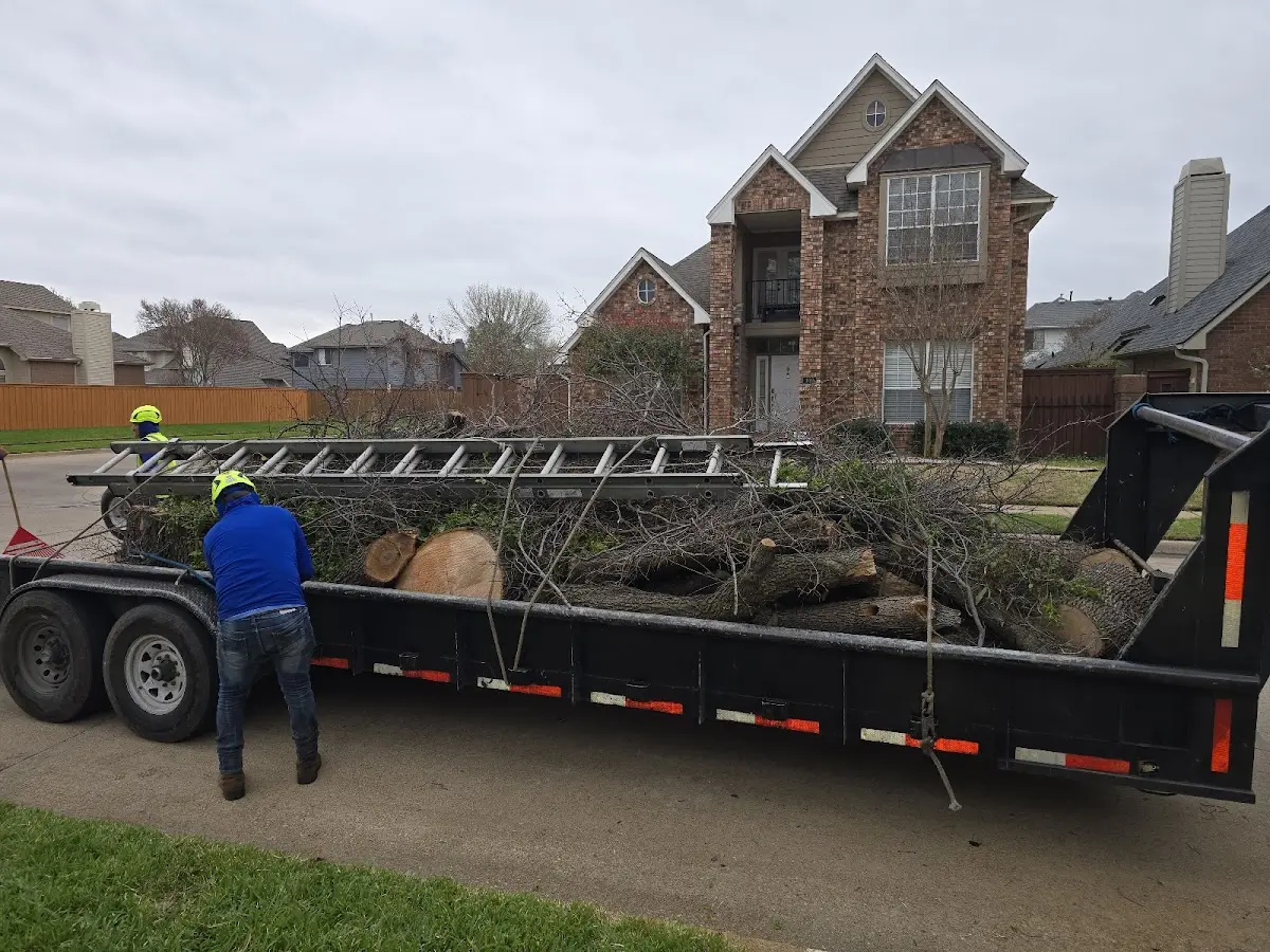 Expert Tree Fertilization with proper safety equipment in Burnet